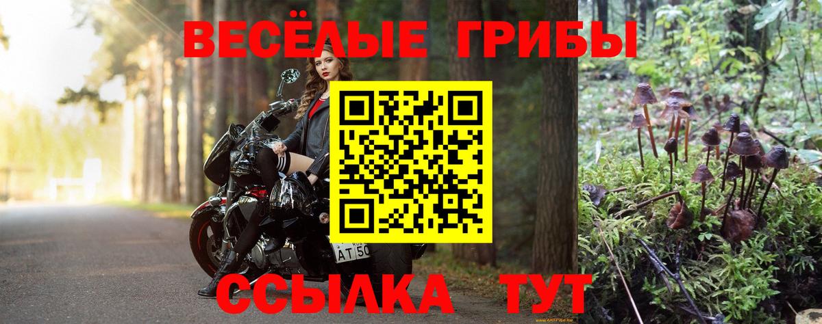 где продают наркотики  Галлюциногенные грибы MAGIC MUSHROOMS  Вход с VPN  Юрга 