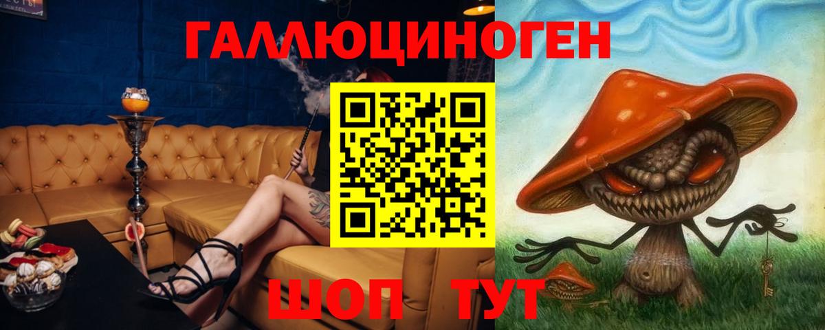 Псилоцибиновые грибы мухоморы Юрга